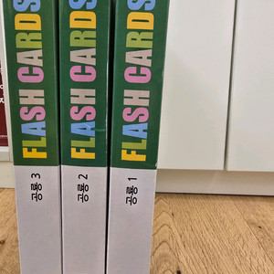 영재오 공룡 플레시 카드