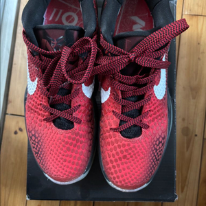 코비6 프로트로 올스타