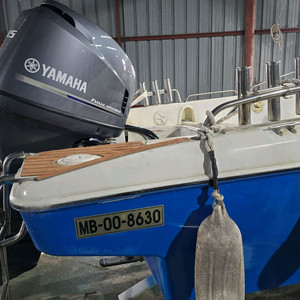 SRV21 피트 낚시보트 팝니다 이미지