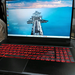 17.3인치 GF75 Thin 게이밍 노트북 144hz