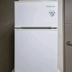 PRAUD 냉장고 소형 화이트 RT087AW(R) 87리터