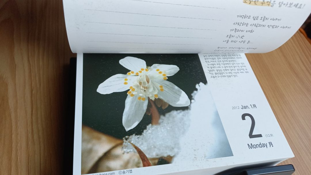 달력 야생화 화보 엽서 사진 캘린더 송기엽의 야샹화--8