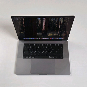 애플 맥북 프로16 M1 10core 16GPU 32GB 512GB