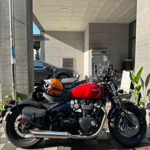 23년식 트라이엄프 본네빌 바버 신차급 이미지