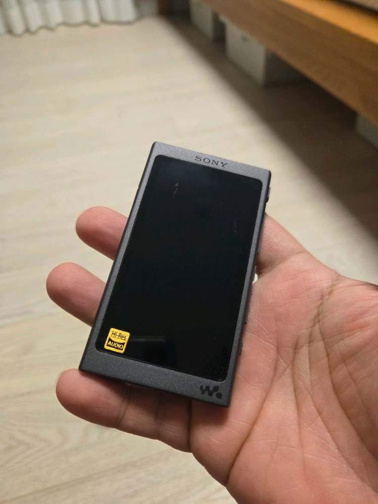 소니 워크맨 NW-A45 16GB + XBA-N3AP 이어폰--1