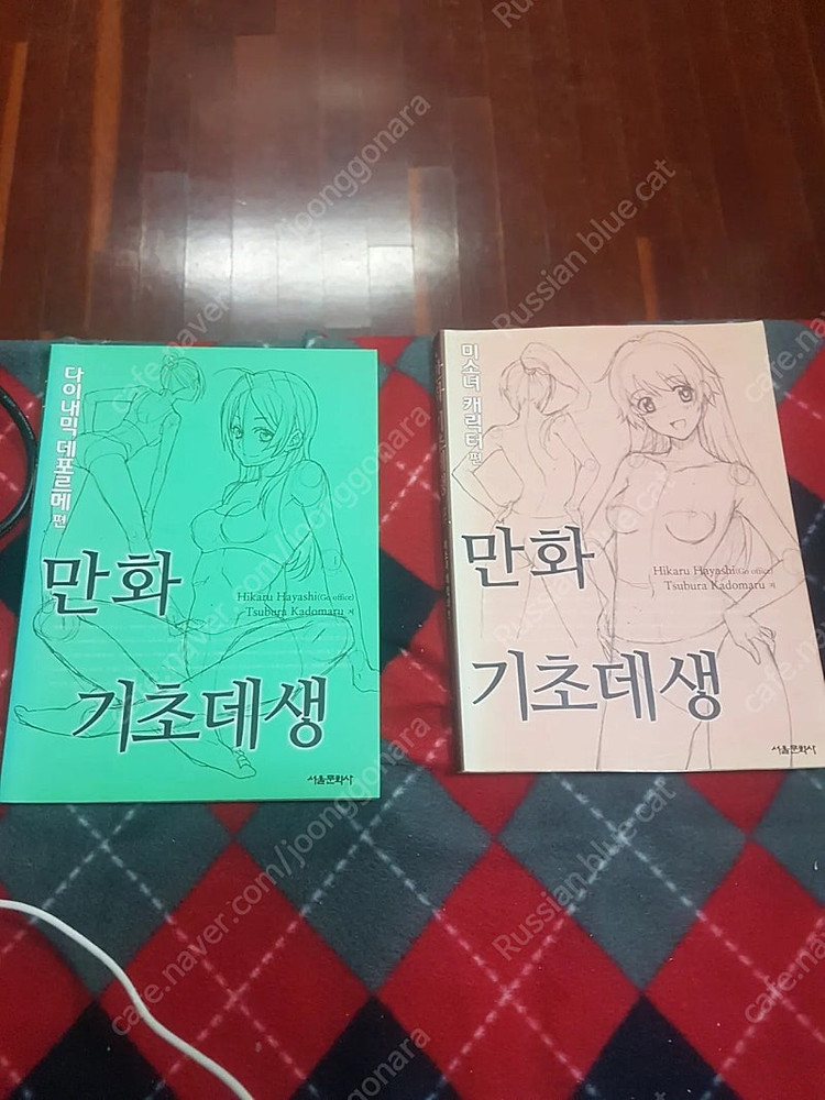 중고도서 5일만에 배우는 만화 그리기 쉽게 배우는 만화 배경 원근법 만화 컬러 테크닉 외 판매합니다.--6