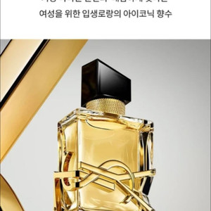 (미개봉 새 상품) 입생로랑 리브르 오드 빠르펭 90ml