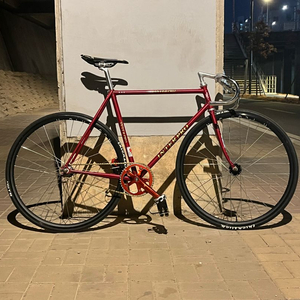 인터프로 경륜 이미지