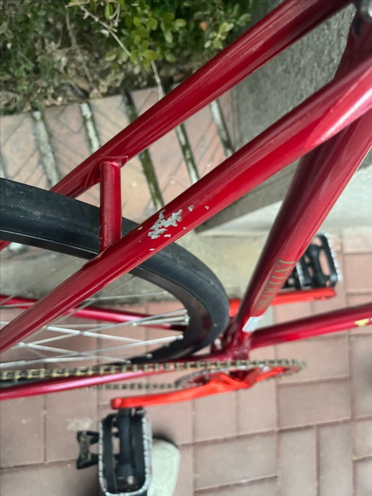 인터프로 경륜 이미지