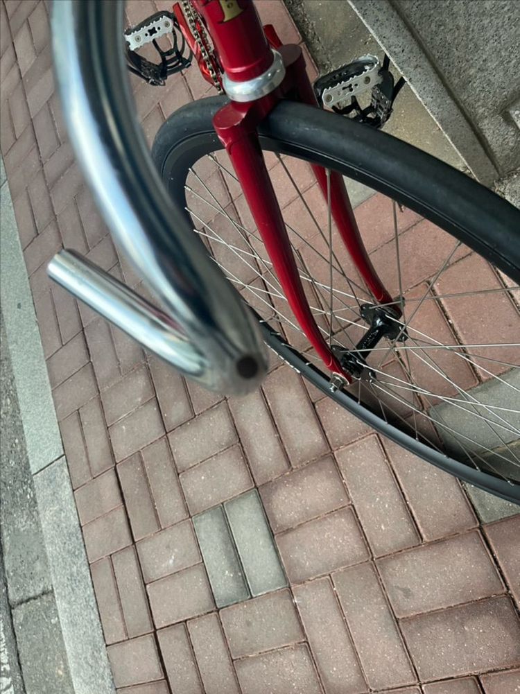 인터프로 경륜 이미지