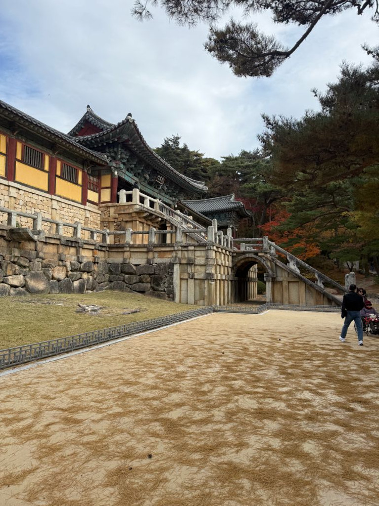 5060ti 16기가 삽니다--0