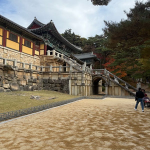 5060ti 16기가 삽니다