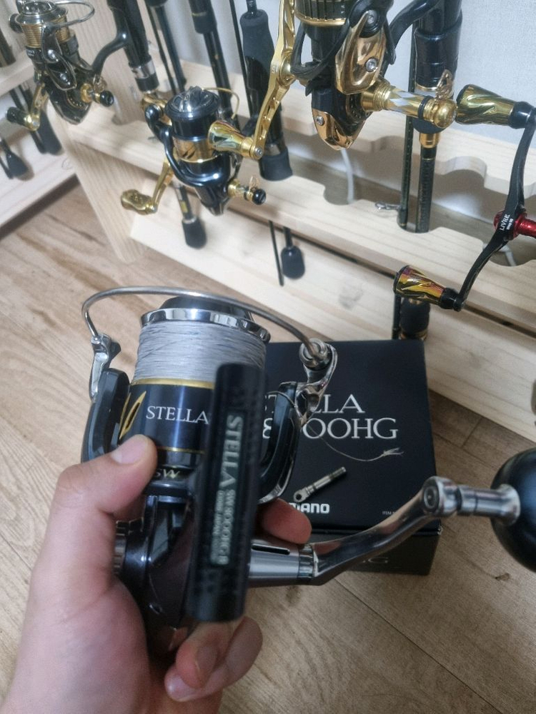 13스텔라 sw8000 이미지