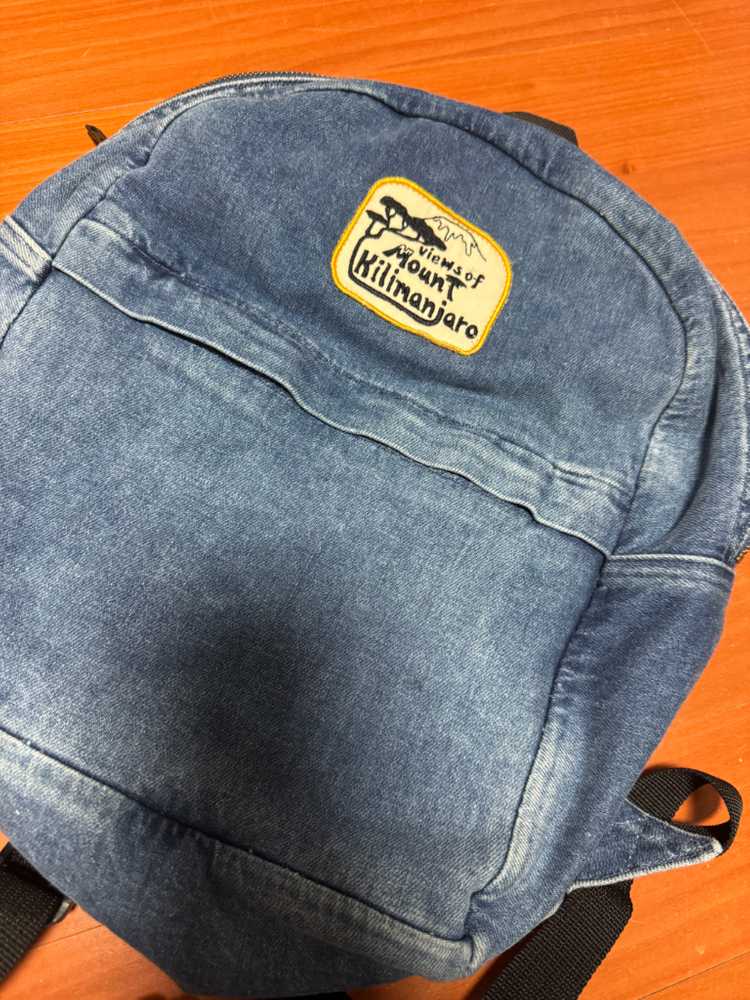 미니로디니 백팩--1