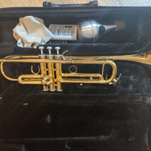 트럼펫 야마하 YTR4335GII 팝니다 이미지