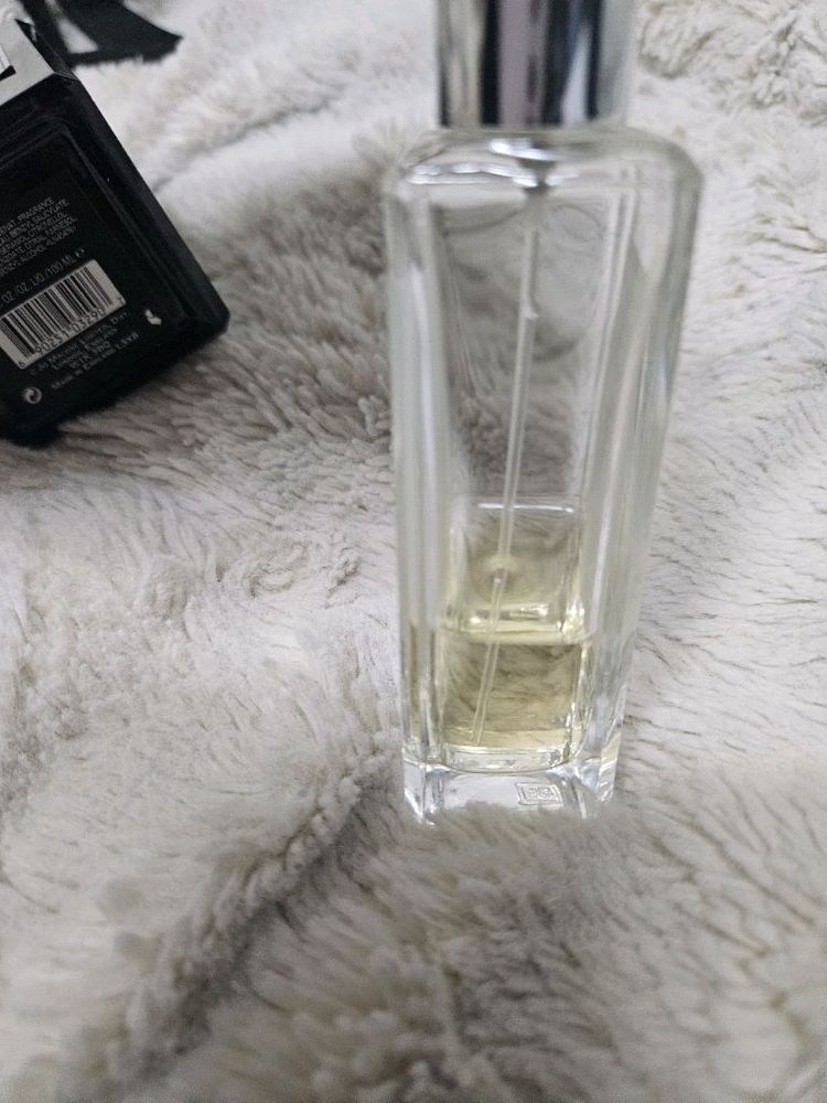 조말론 튜버로즈 안젤리카 코롱 인텐 100ml 등--2