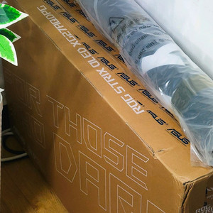 ASUS ROG STRIX XG27AQDPG 500hz 게이밍모니터