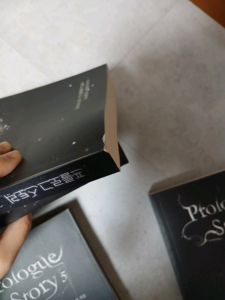 웹소설 단행본 판매합니다.(프롤로그 스토리, 화산귀환)--1