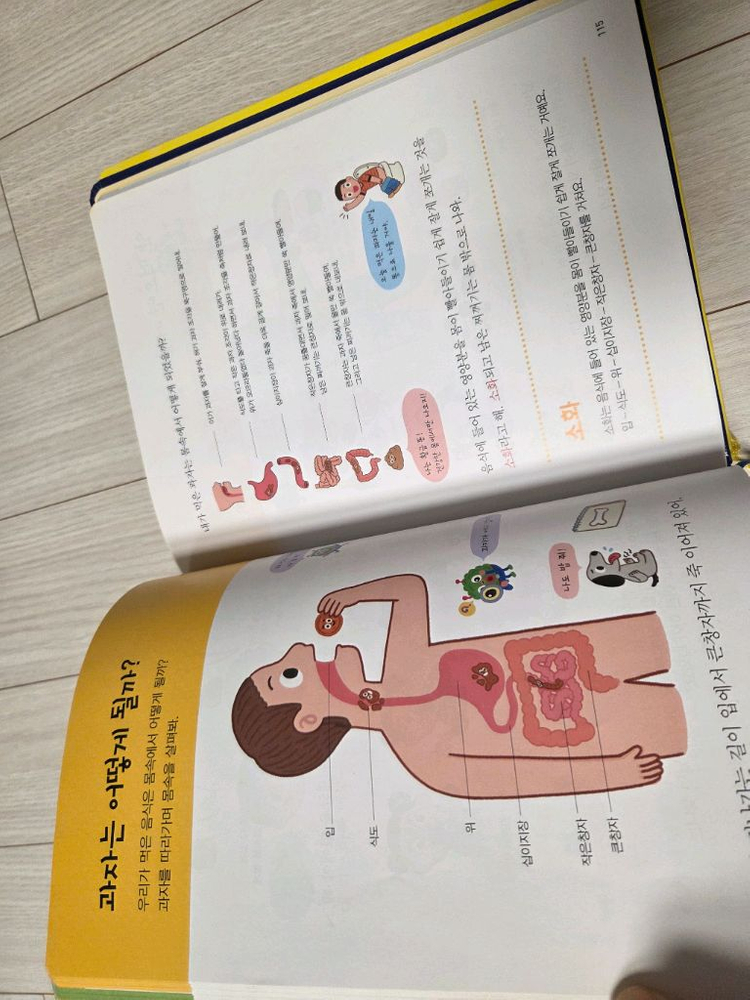 와이즈만 유아 과학사전+유아수학사전--2