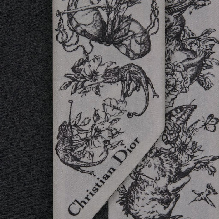 디올 조디악 미차 스카프 (Zodiac Mitzah) 이미지