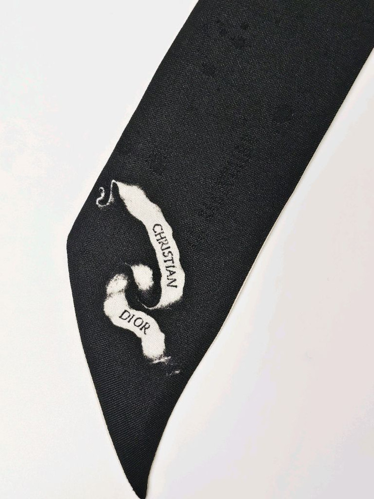 디올 조디악 미차 스카프 (Zodiac Mitzah) 이미지