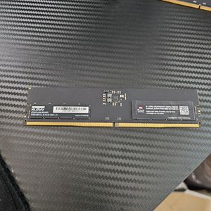 클레브 ddr5 5600 16gb