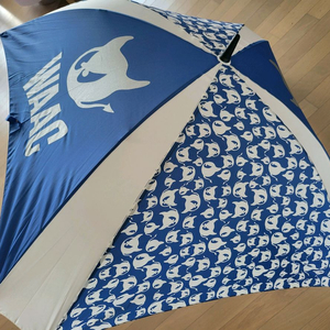 ((새상품/정품))WAAC왁 스퀘어블루우산+무료배송+