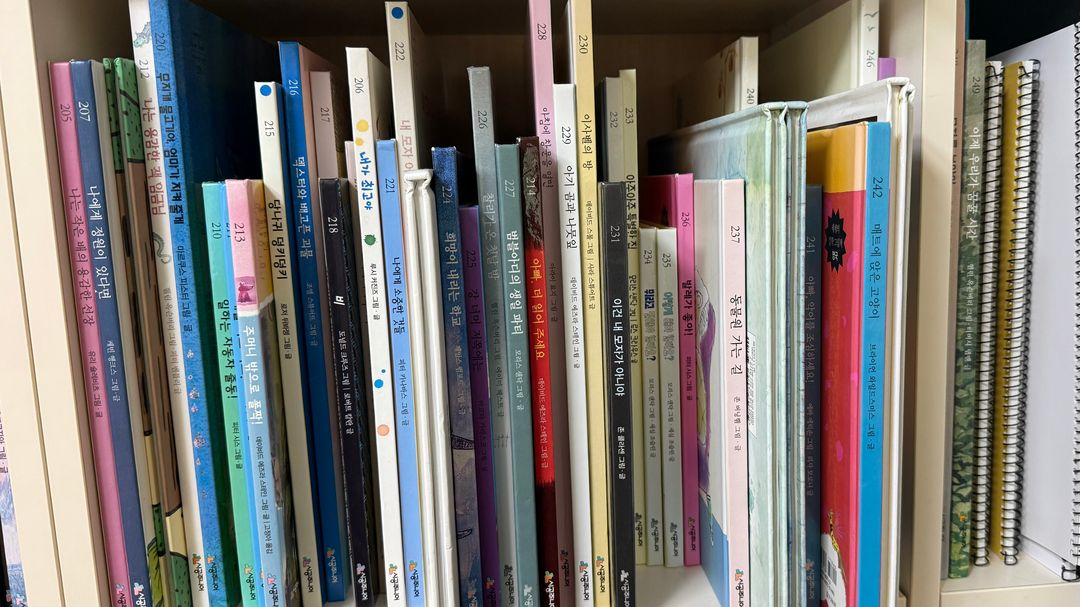 시공주니어 네버랜드 250권 이미지