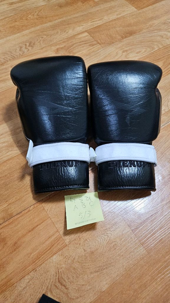 피넘 Phenom SG-210 14온스 복싱 글러브--0