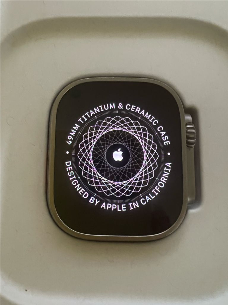 애플워치 울트라1 49mm 티타늄케이스--0