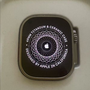 애플워치 울트라1 49mm 티타늄케이스