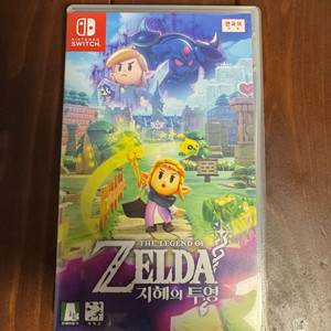 닌텐도 스위치 젤다의 전설 지혜의 투영