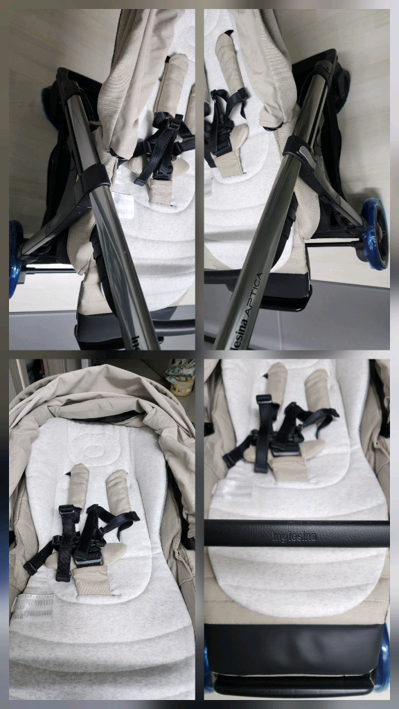 잉글레시나 앱티카 상태좋음--1