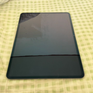 아이패드 프로 13 M4 256+정품 매직키보드 단품