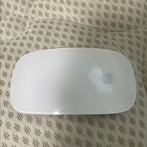 애플 매직마우스