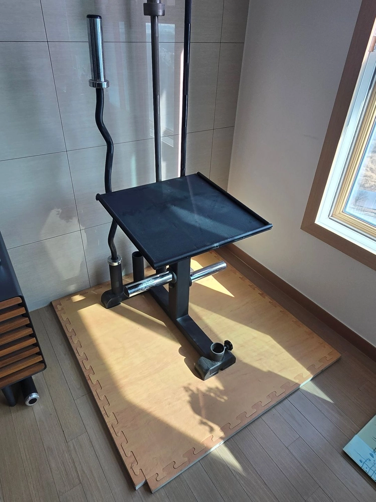 진영 멀티정리대 (무게조절덤벨, 원판, 바벨) 이미지