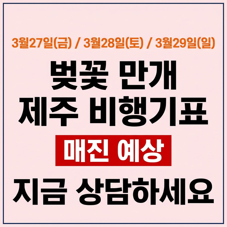 매진 항공권 예약) 제주 - 김포/부산/청주/대구/광주 국내선 이미지