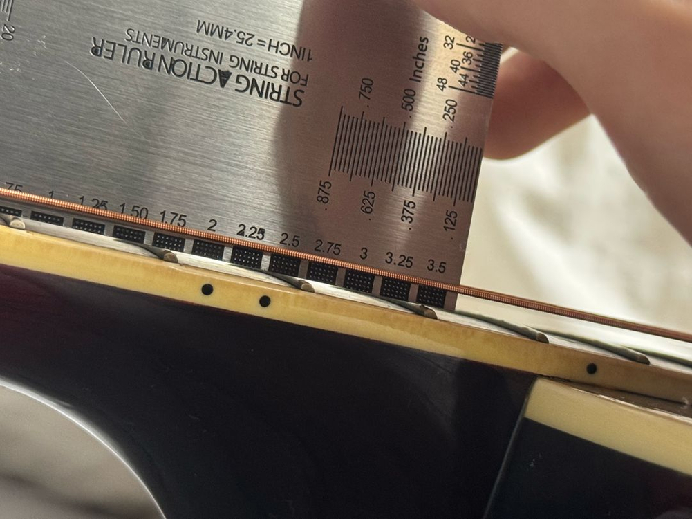 크래프터 노블 RS + 폼케이스 이미지