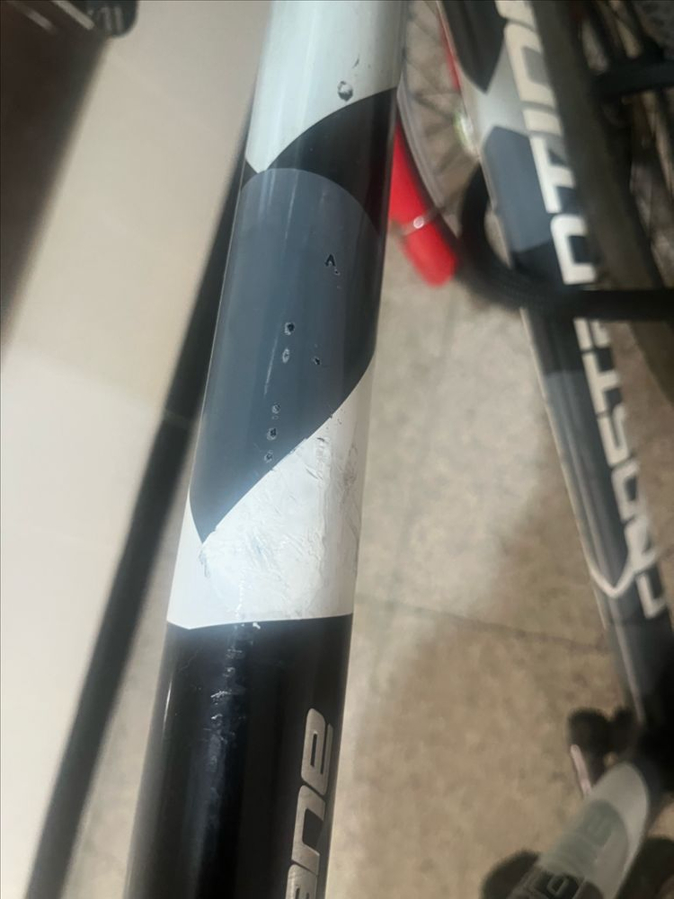 콘스탄틴 어베인 반차--0