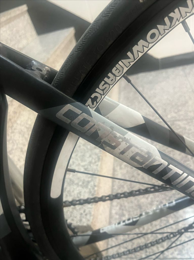 콘스탄틴 어베인 반차--1