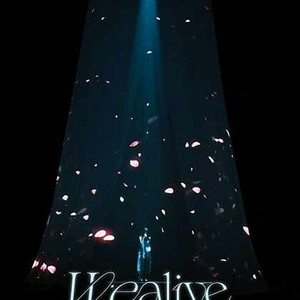 레드벨벳 웬디 콘서트