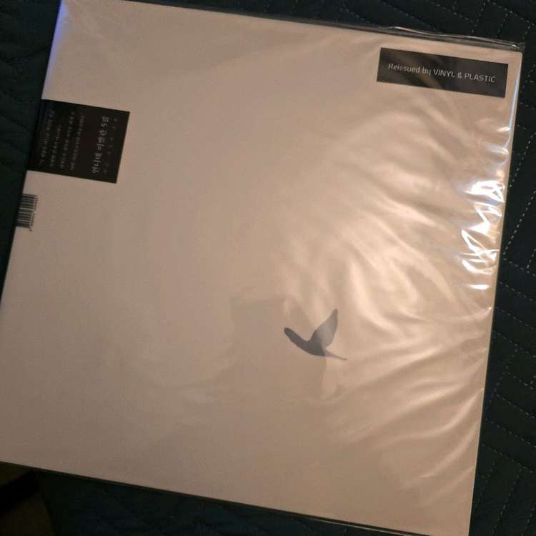 [미개봉] 언니네 이발관 5집/유재하 LP 판매합니다(가격인하)--0