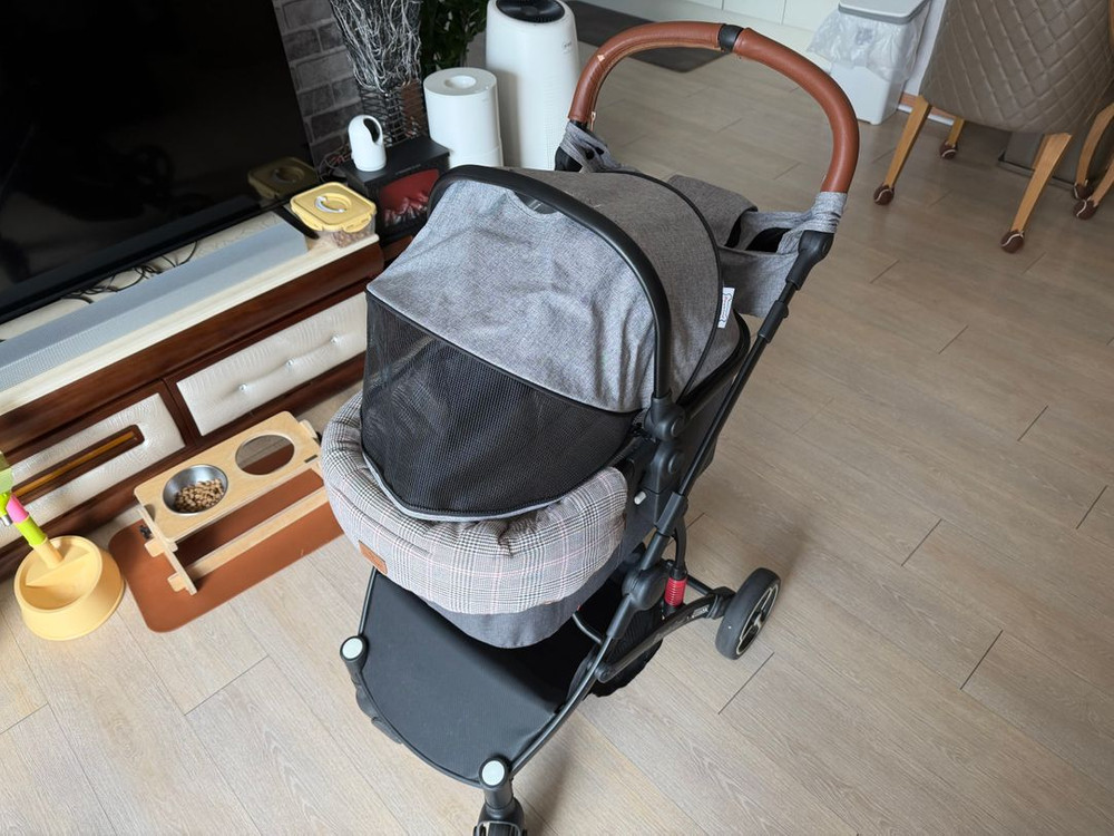 피콜로카네 카리노 시리즈 판매합니다.--0