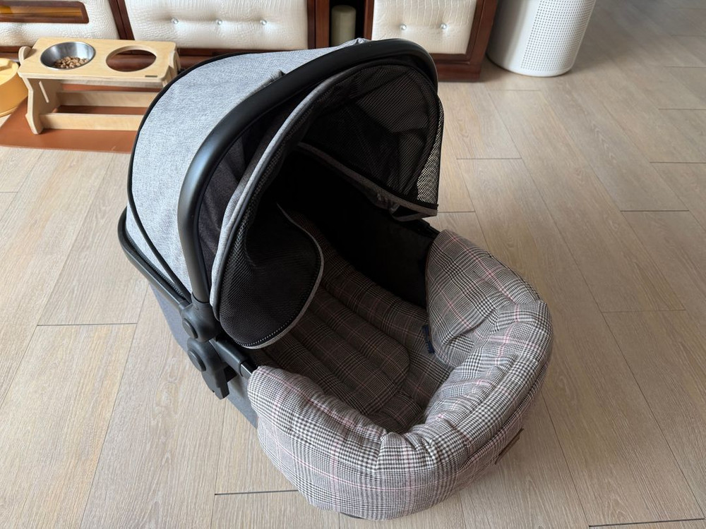 피콜로카네 카리노 시리즈 판매합니다.--2