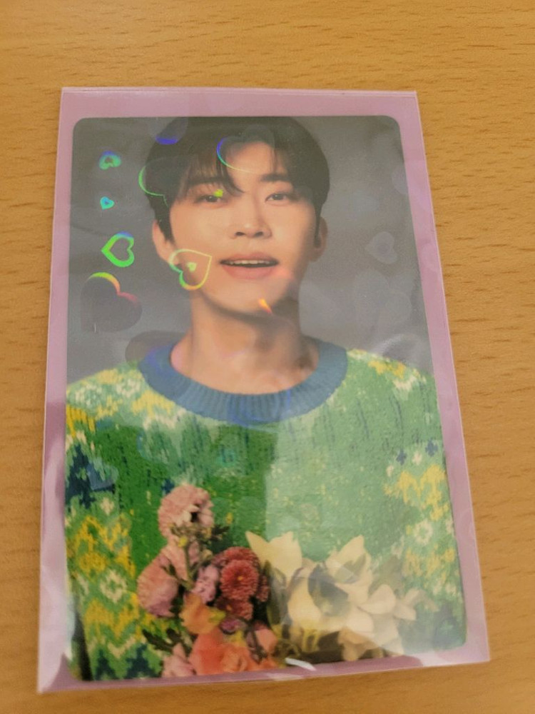 아티스트 앨범 포토카드 세트 이미지
