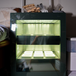 틔운 오브제 그린 판매합니다