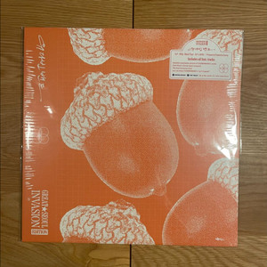 유다빈밴드 - GSI Edition [180g LP]