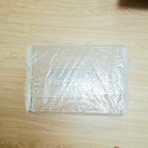 아뢰야식 발바토스 루프스 렉스 흉상