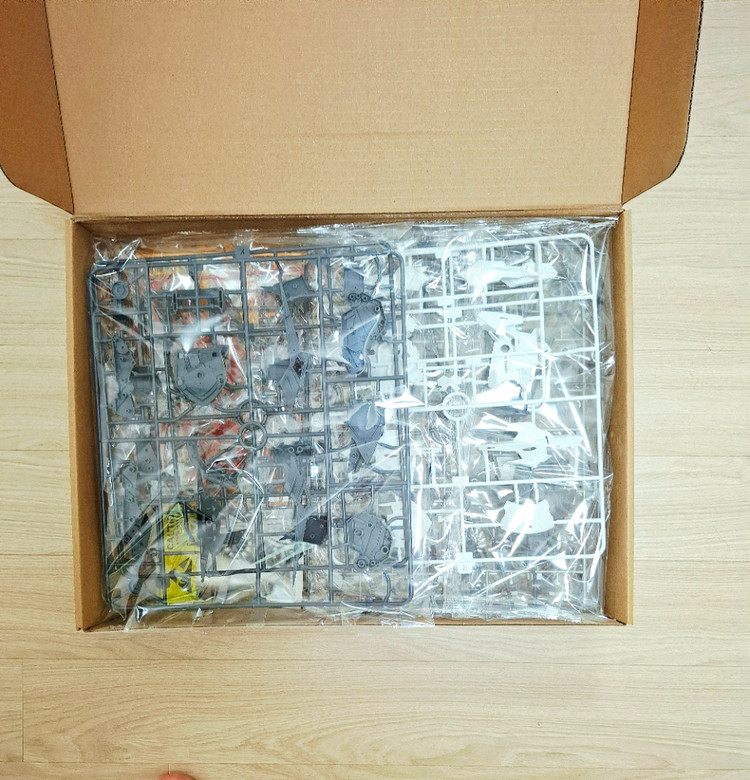 아뢰야식 발바토스 루프스 렉스 흉상--1