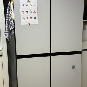 삼성 비스포크 4도어 875L